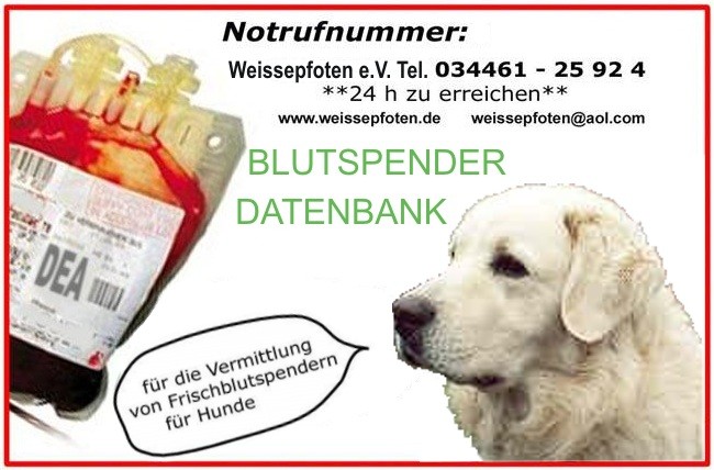 bannerblut